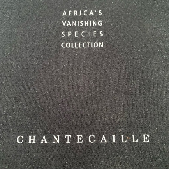 Chanteceille Metallic Eye Shadow Limited Edition 6 eye shadows brush set - Picture 4 of 16